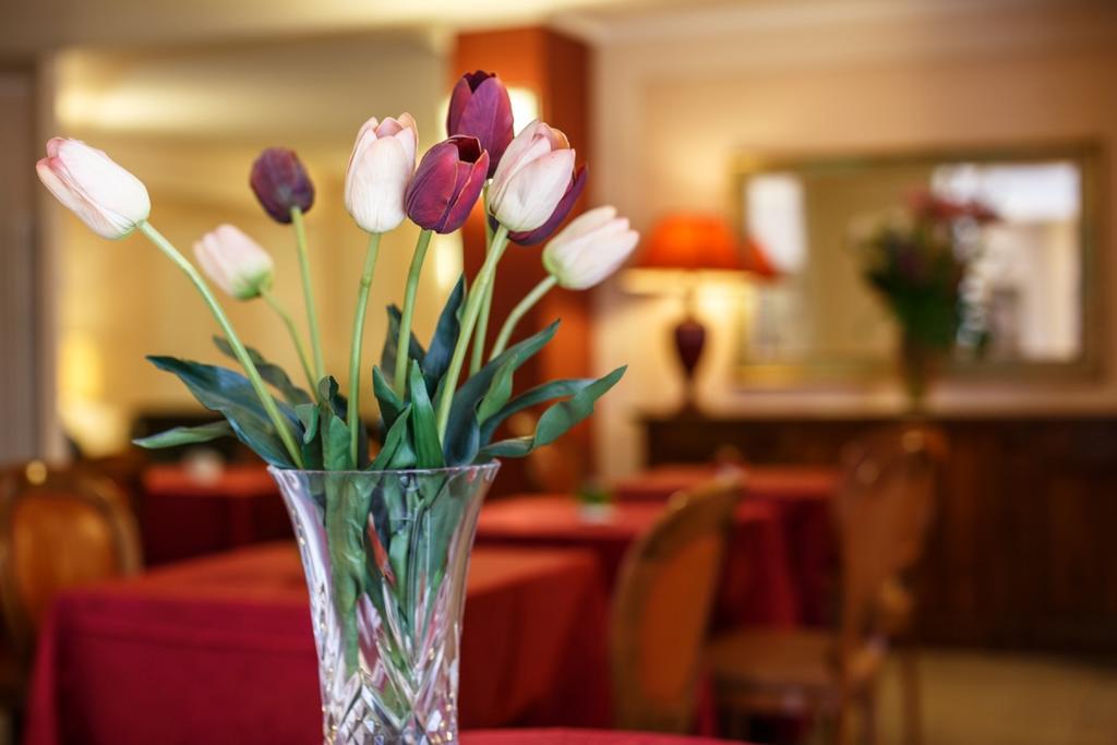 Hotel Daniel Basiano Kültér fotó
